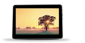 Lava Xtron +